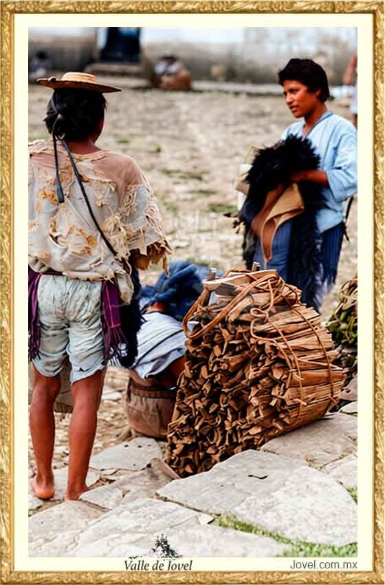 Indigena huixteco vendiendo su leña